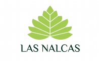 Las Nalcas